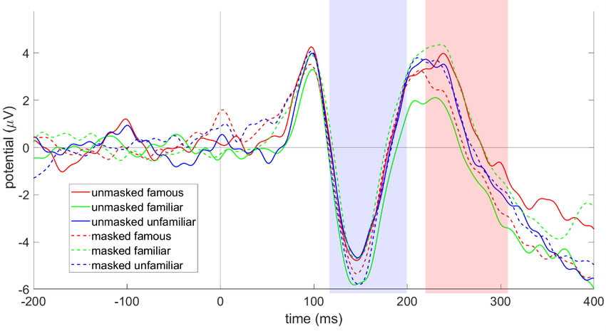 ERP waveforms typically found in face recognition research. From Karmakar and Das (2023).