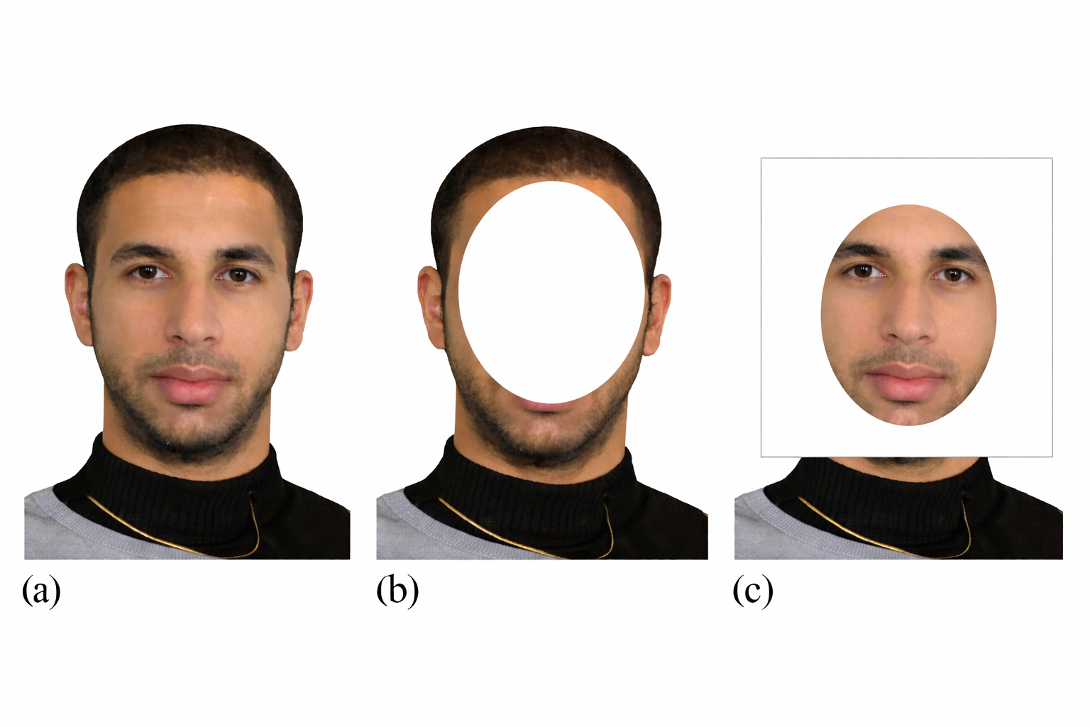 Internal and external facial features. Original face (synthesized by the ID program, (Tredoux et al., 2006)) shown as panel a).